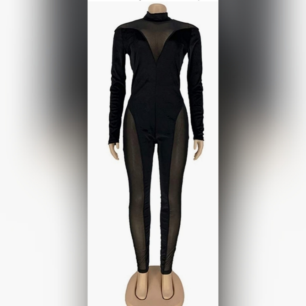 NWT Large Velvet and Sheer Mesh Catsuit